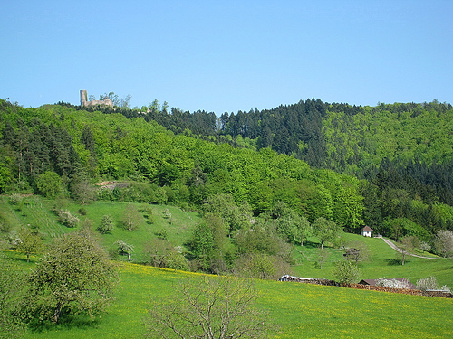 Sausenburg Castle